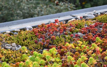 the cost of Brockhollands green roof installation