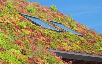 Brockhollands living roof systems