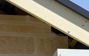 soffit repair Brockhollands